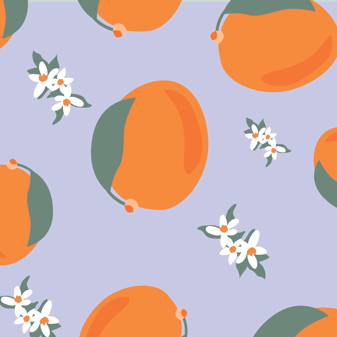 Valis Fleurbet - image détails